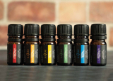 Best Essential Oils for Muscle Recovery and Stress Relief in 2026: Top Picks